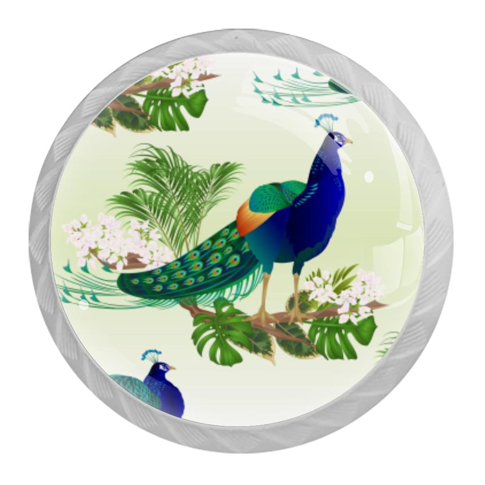 Tqmspg Multi Peacock Bird