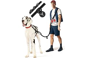 ZeeDog Hands-Free Dog Leash: Perfect for Walks, Jogs, and Runs