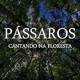  O Canto dos Pássaros na Mata (Parte 03)