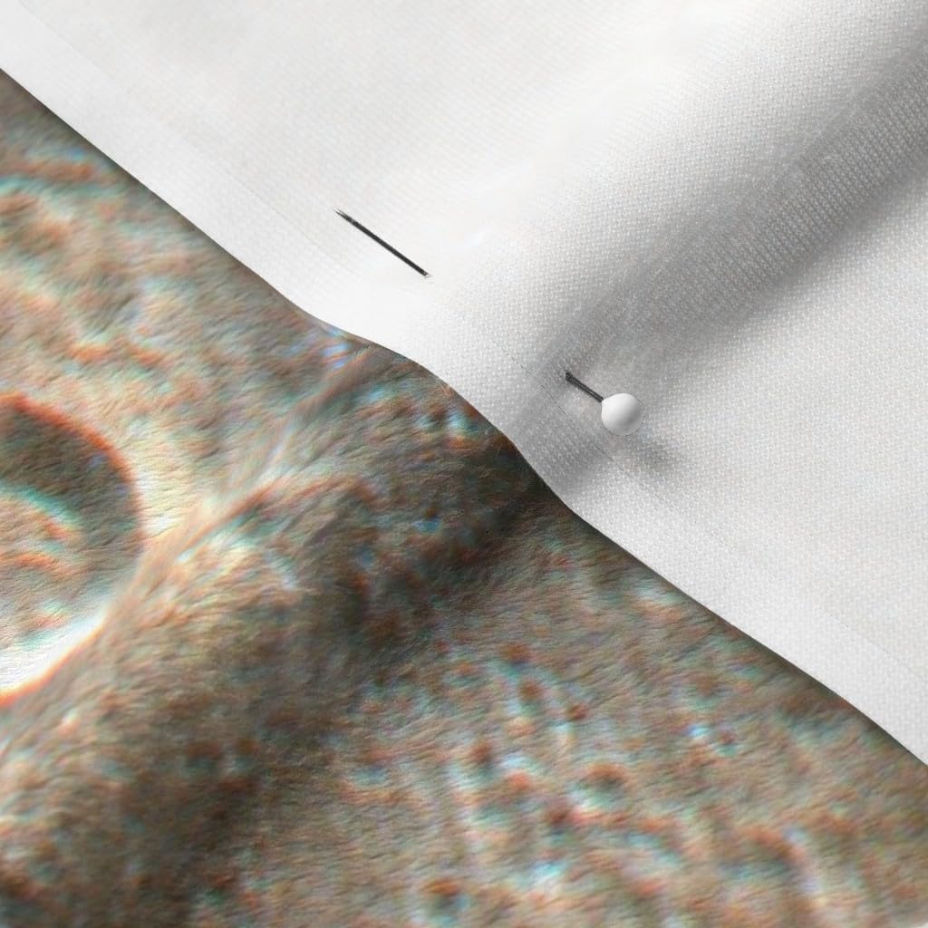 Spoonflower Fabric - Moon Lunar Space Map Planet Nature Photographic Printed on Minky Fabric by The Yard - Sewing Baby Blankets Quilt Backing Plush