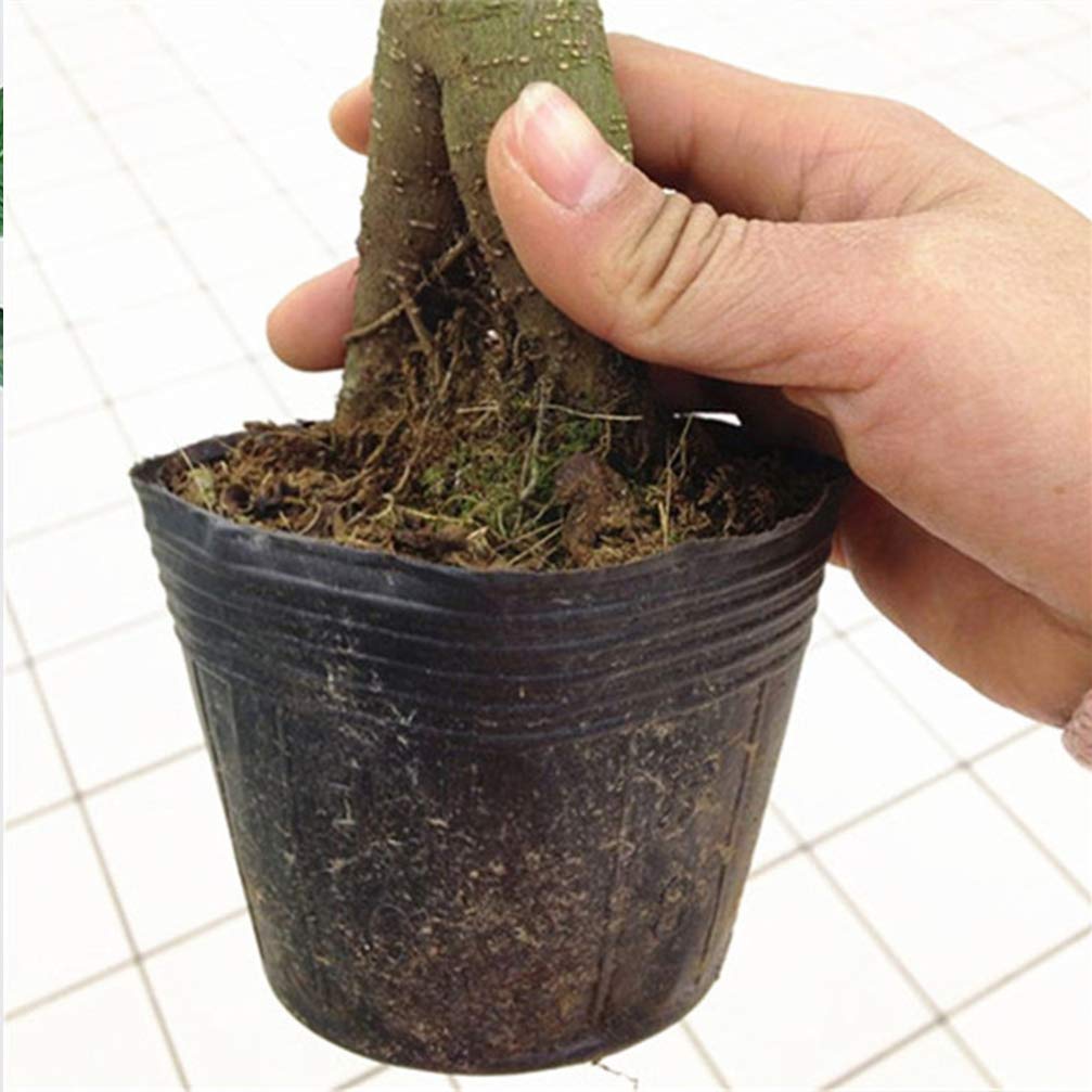 Hemoton 300 macetas de plástico para plantas de vivero, macetas de plástico para semillero de inicio, macetas para trasplantar, bandejas de arranque para jardín, herramientas de 9 x 9 cm