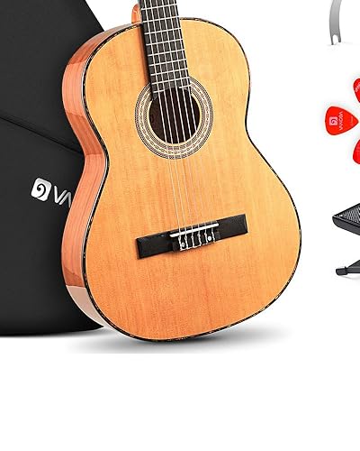 Wat is een goede Akoestische gitaar voor beginners