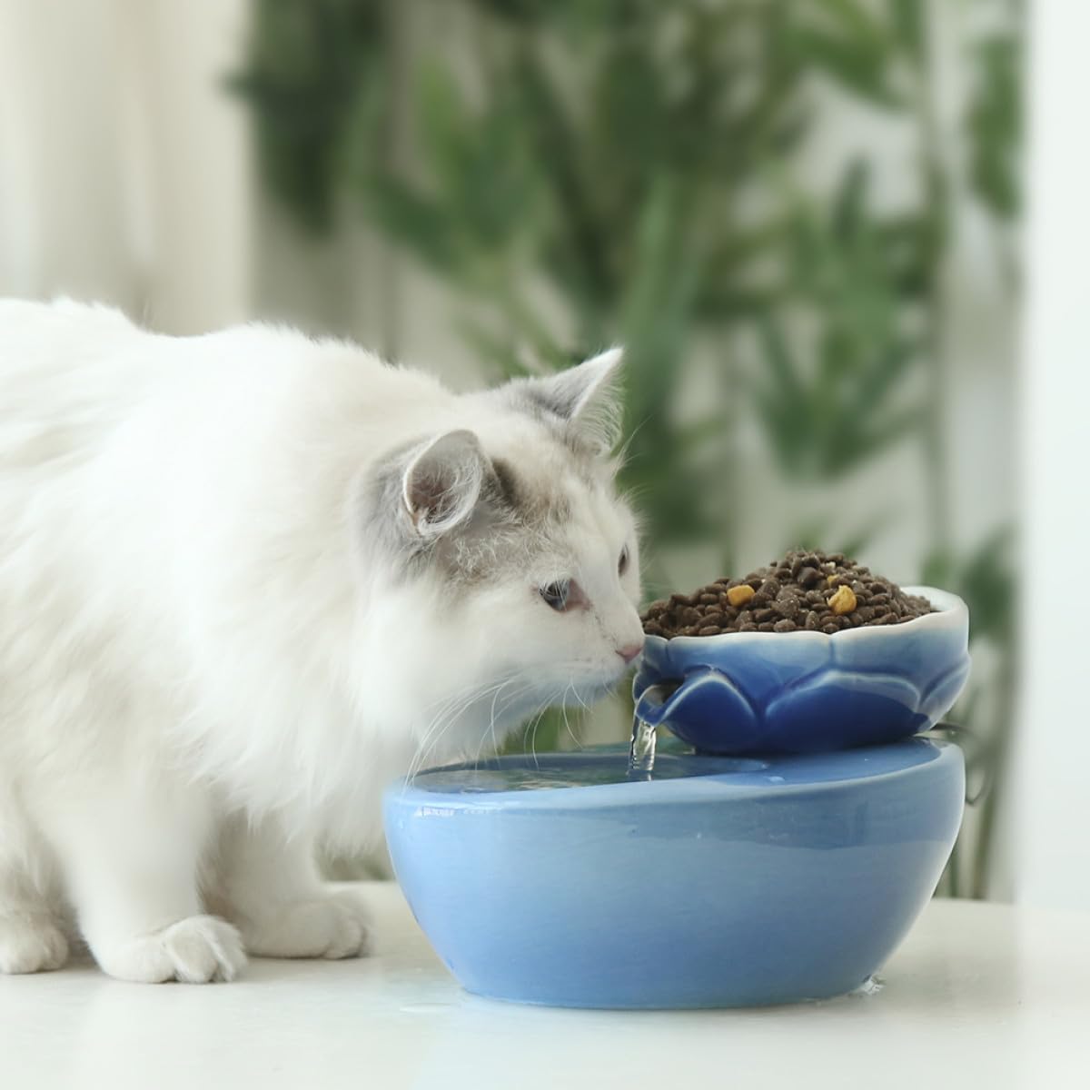 Dispenser Acqua per Animali Domestici in Ceramica da 1.5l con Filtro, Design a Loto e Funzione a Doppio Uso, Antigoccia, per Cani e Gatti in Casa