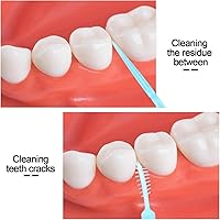 Vista 3 de Púas de hilo dental: 1000 palillos de dientes desechables, palillos de plástico de doble cabeza, hilo dental interdental para el cuidado bucal