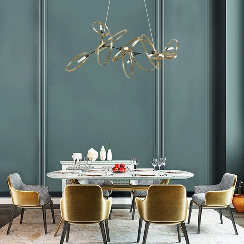 Bracket Light Chandeliers Nordic Led Ceiling Light Interior Lamp 1-Light Hanging Decoration for Farmhouse Living Room Dining Room Bedroom Backyard Stainless Steel Bracket Light,White Light,White