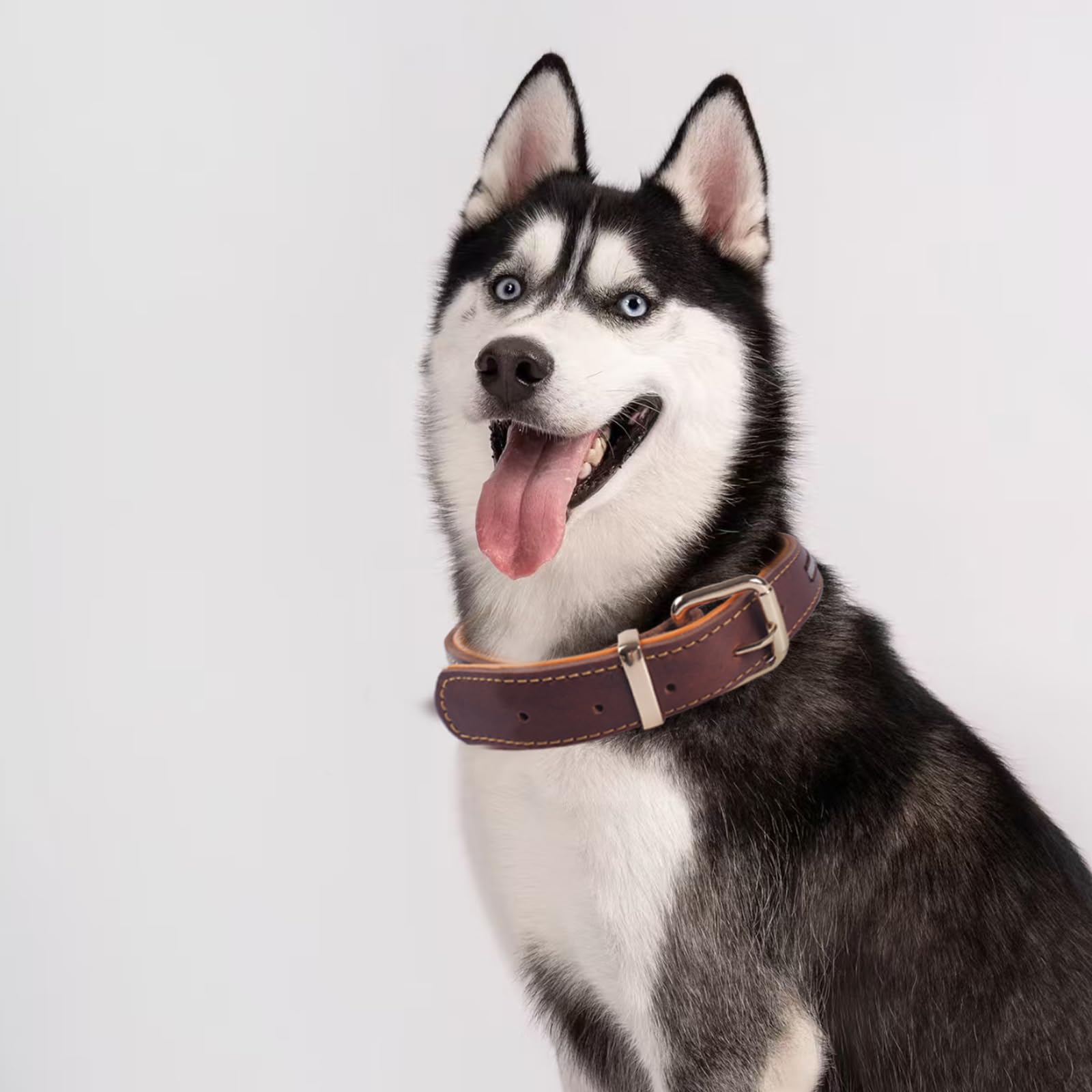 Collar de Perro de Cuero Grueso,Heavy Duty Cuero Genuino, Reflectante y Ajustable,Suave Acolchado para Mayor Comodidad,Collares de Perro Fuerte para Medianas, Grandes, Extra Grandes Razas（Marrón）(XL)