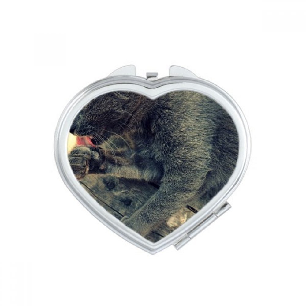 Miroirs de poche à la main chat gris compact portable et mignon en coeur