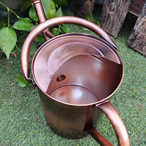 yourjoy Sliver Galvanized Steel Watering Can with Copper Accents,Removable Rosette-Diffuser,One-Gallon