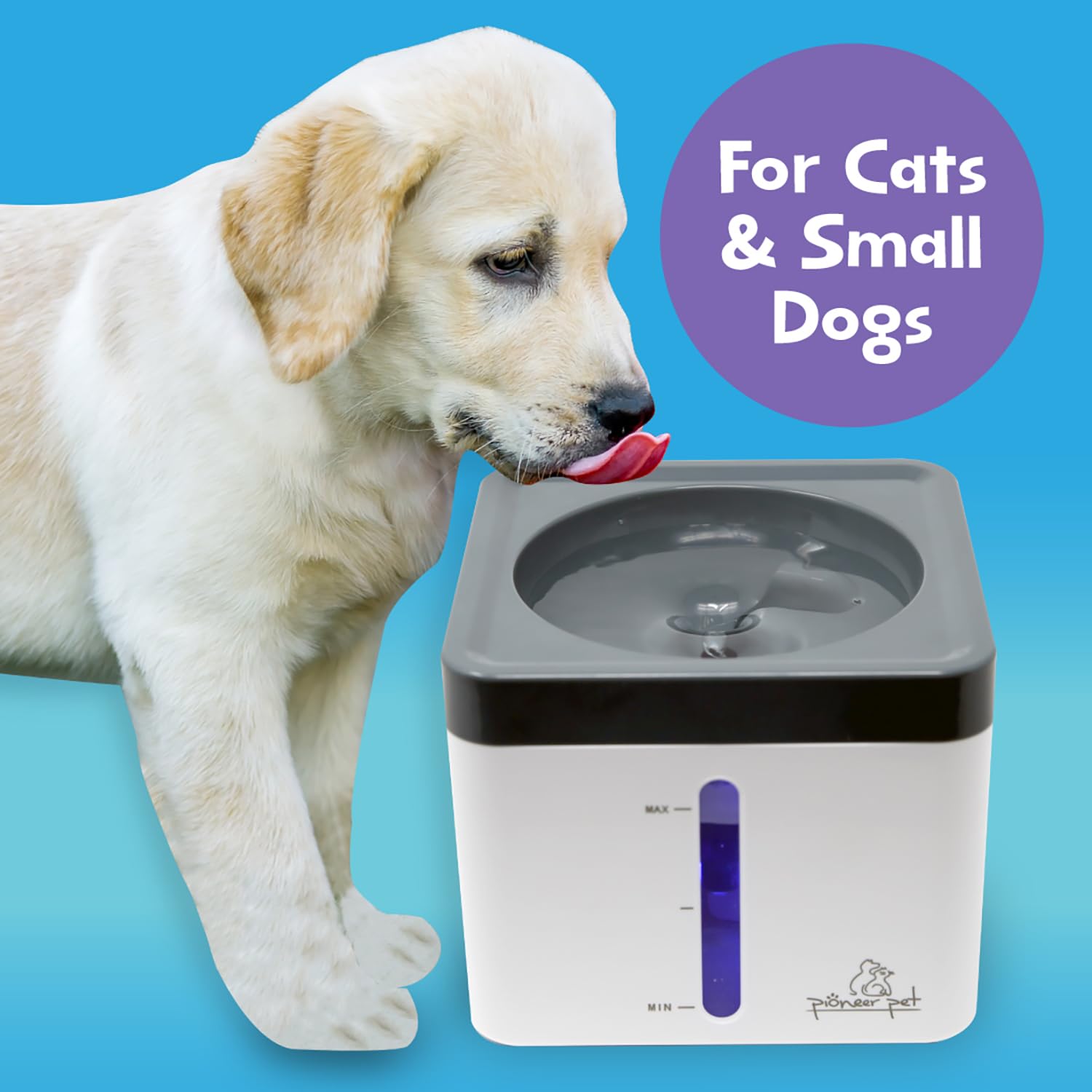 Pioneer Pet Mini Fontana di Acqua Vortex per Animali Domestici, 2,3 L, Distributore di Acqua per Gatto, Ciotola Automatica e Autopulente con Luce LED, Perfetto per Gatti Indoor Cani