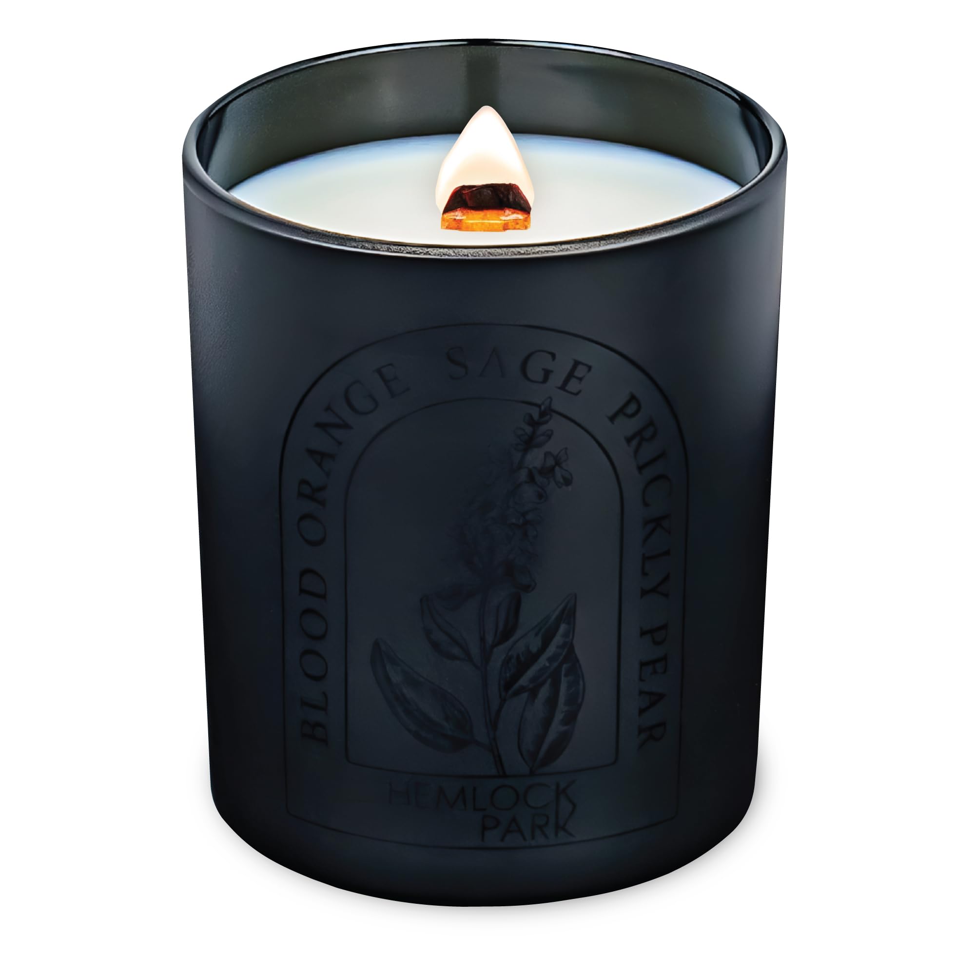 Hemlock Park Blood Orange Sage Artisan - Candela profumata versata a mano, stoppino di legno scoppiettante, fragranza botanica e cera di cocco, fino a 50 ore di combustione, 204 g