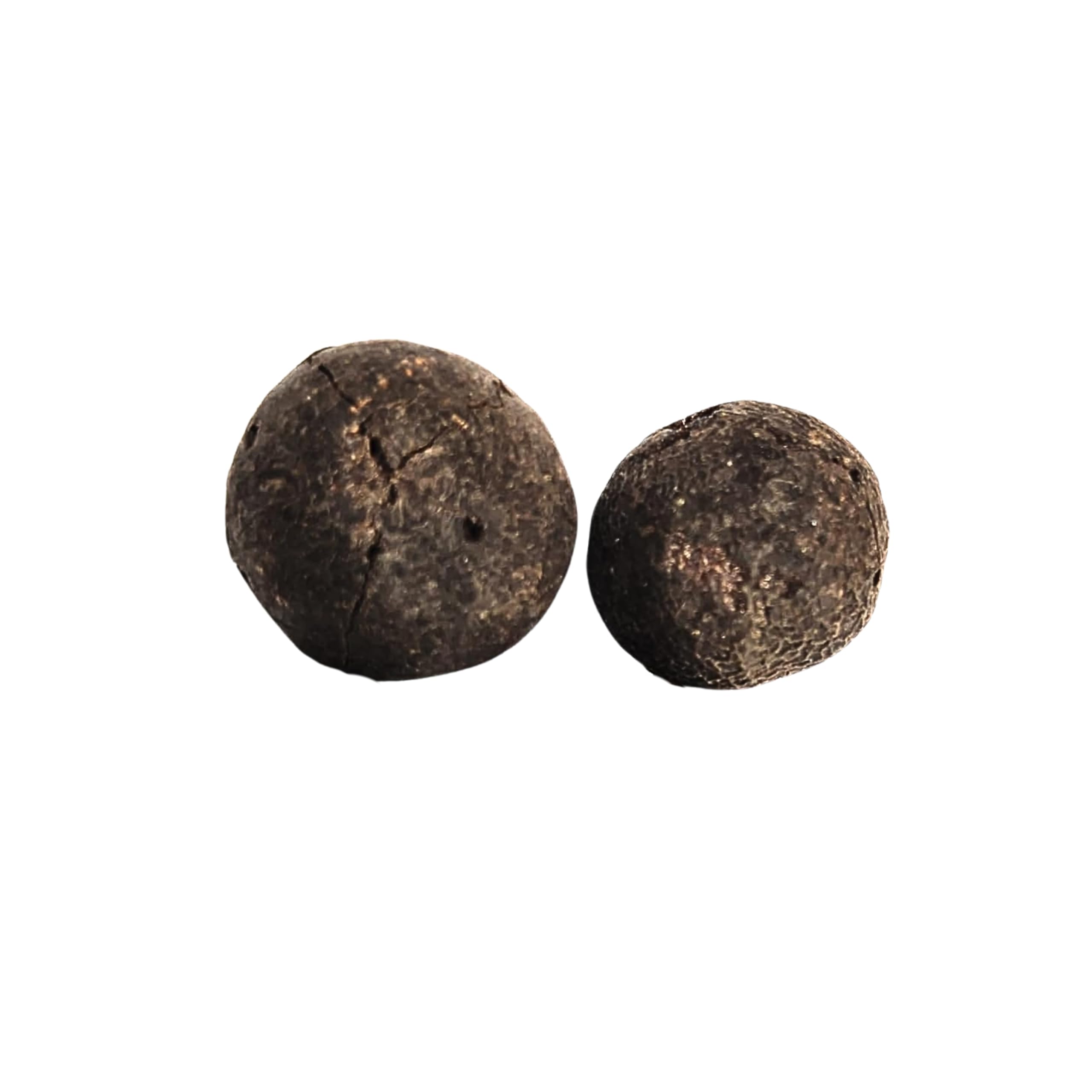 Wonder Care 2 Beads Natural Rudraksha Fruit Nepali Rudraksh Beads with Natural Raw Shell Original Rudraksha for Mala and Bracelet [Pack of 2]