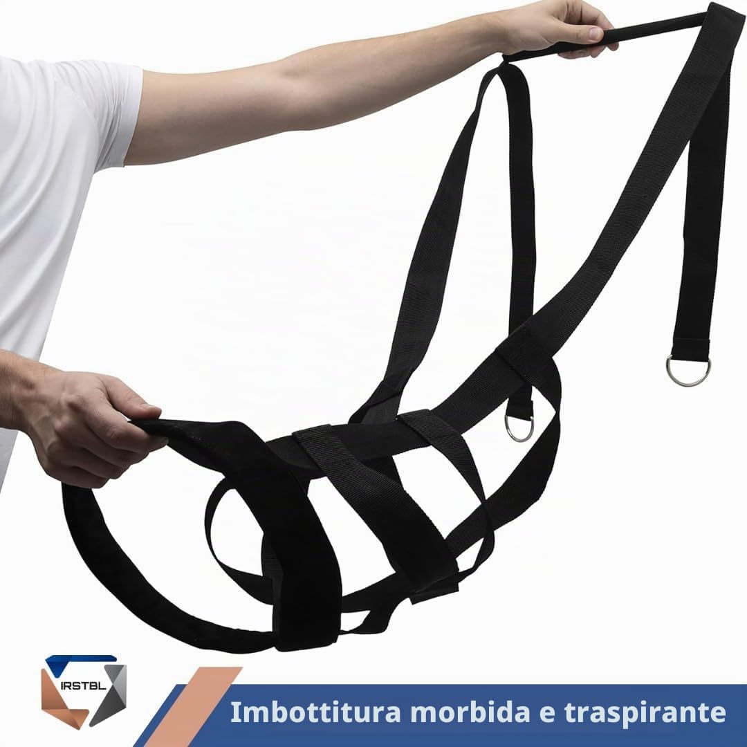 IRSTBL Imbracatura per cani con fischietto a ultrasuoni, imbracatura posteriore a X, per canicross, slittino e allenamento muscolare, ideale per cani da lavoro