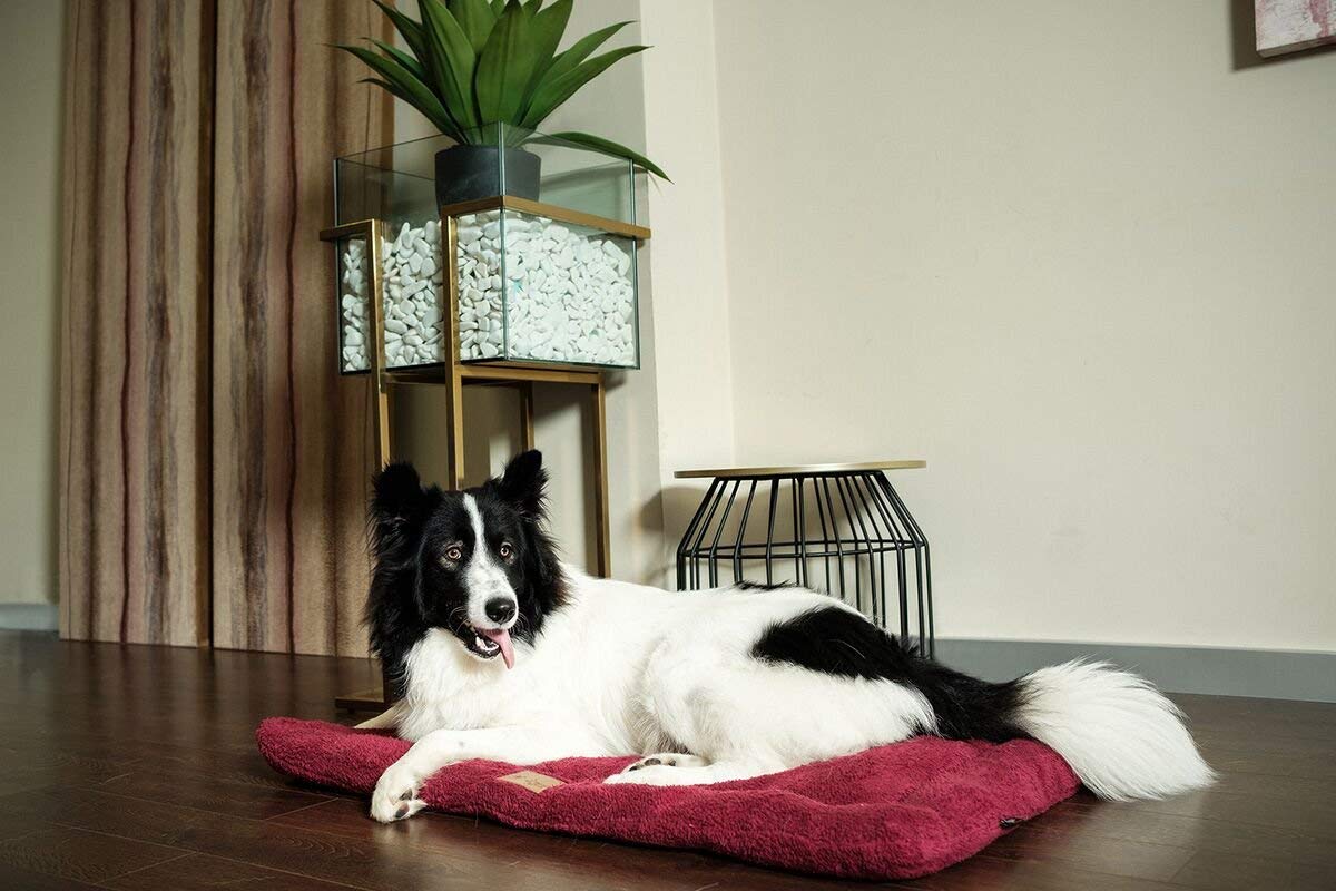 AGUI Colchon Warming Red 105X70Cm 1 Unit 500 g