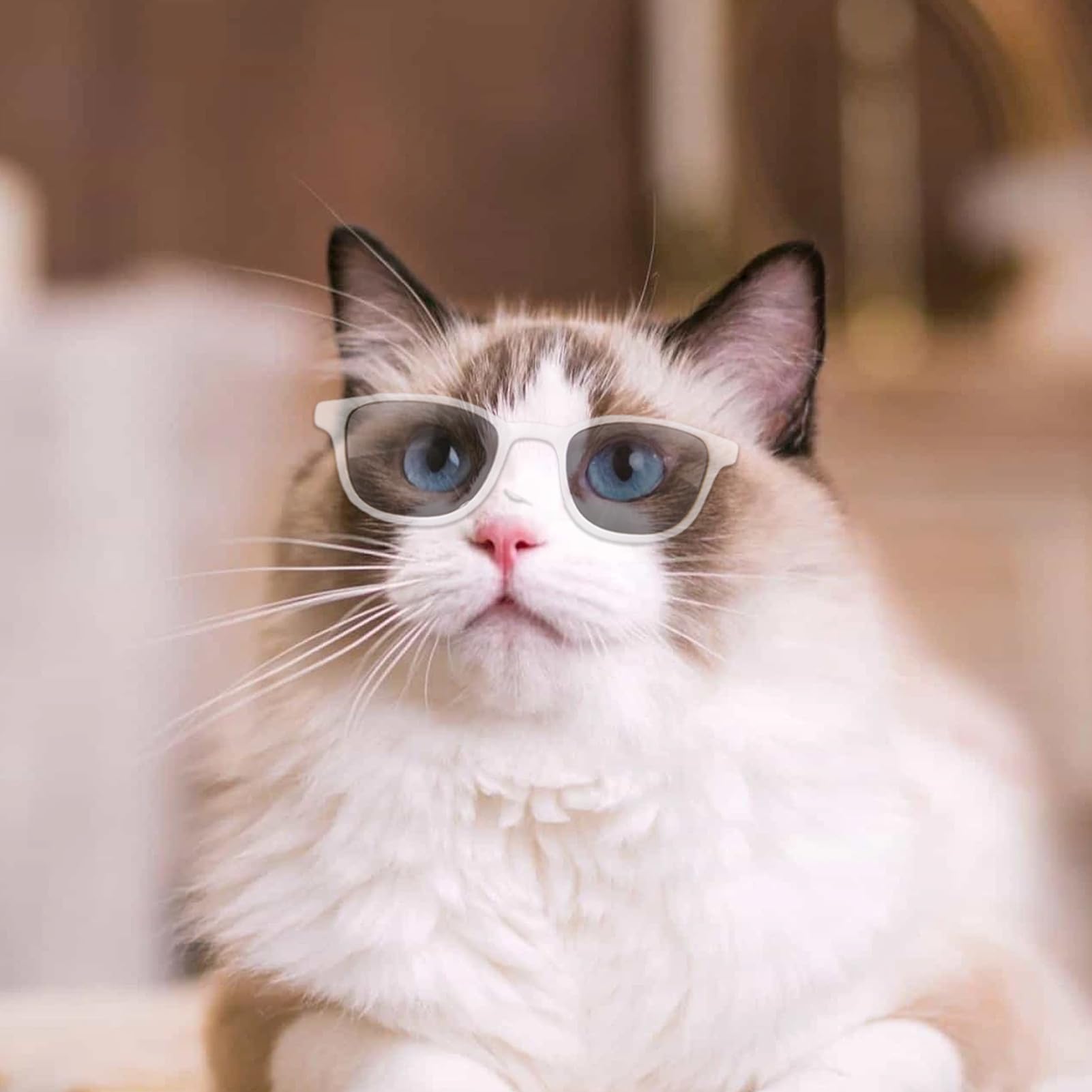 Occhiali per piccoli animali domestici, occhiali per gatti, occhiali per animali domestici, protezione UV, antivento, costumi per feste all'aperto, viaggi e feste cosplay