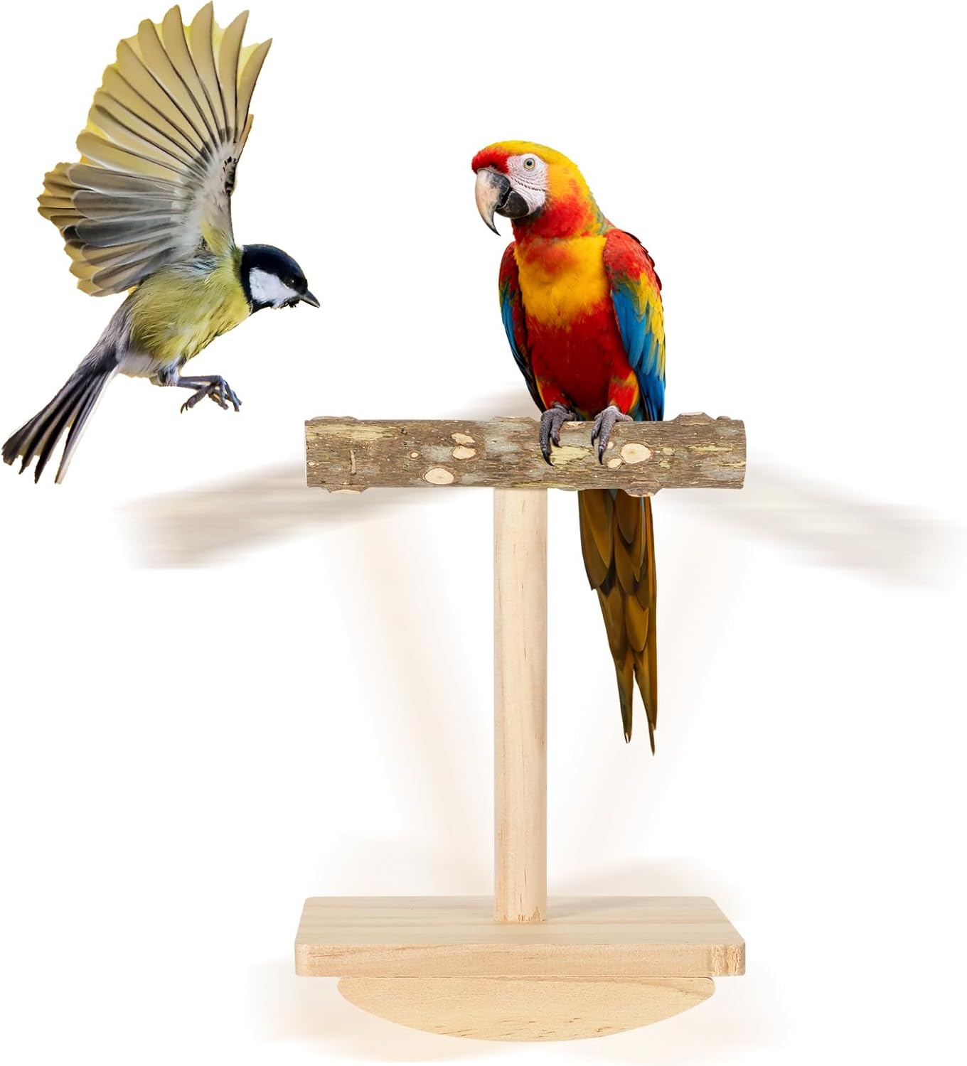 Rocking Perch for Birds, Natural Wood Bird Perch Stand Training, Intelligence Puzzle Enrichment Toys for Parakeets, Parrot Perch Stand for Cockatiels, Budgies, Conures, Bird Playground Accessories