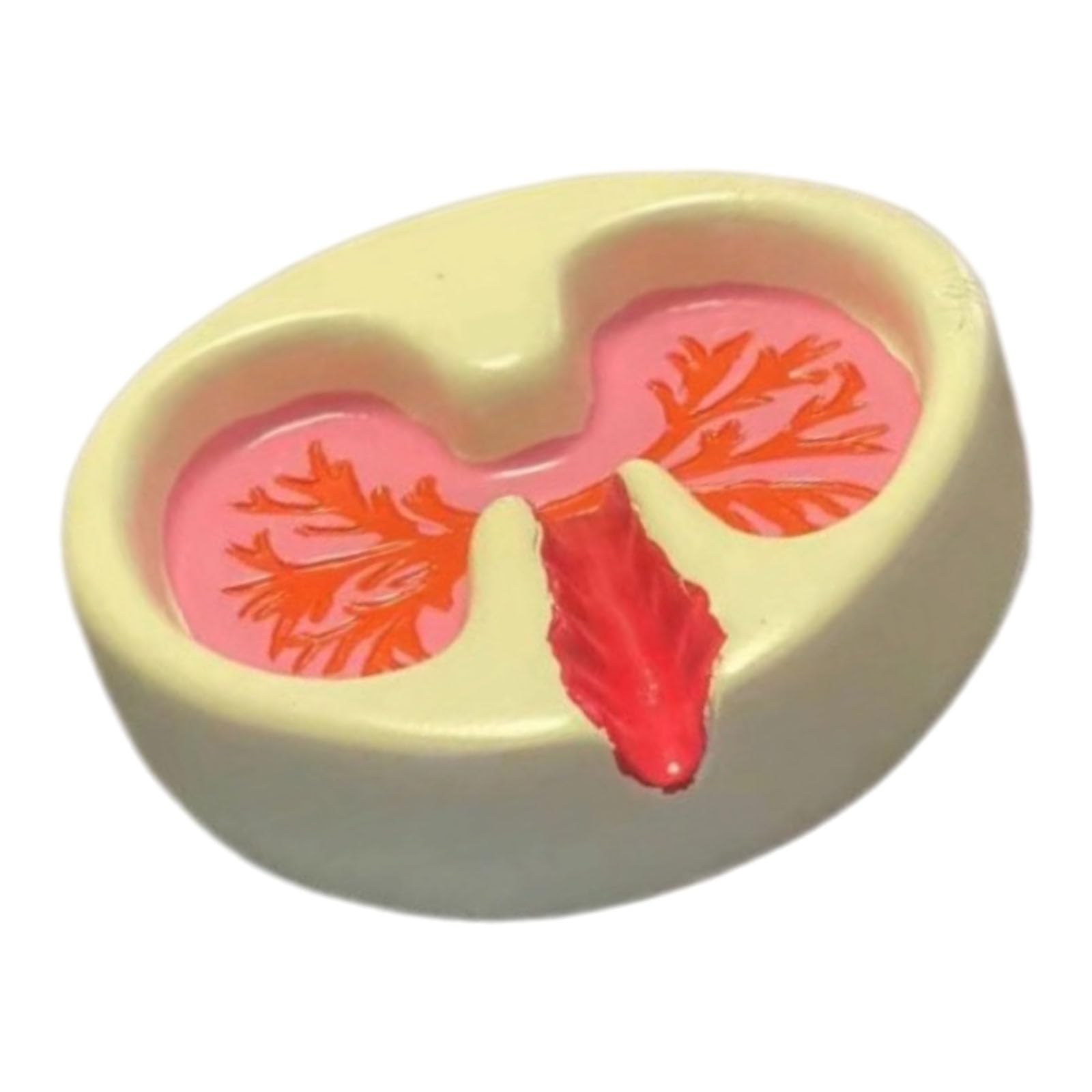 APGLSXY Creative Functional Lung Design Resin Ashtray Artistic Decorative Piece for Home and Study Decors Creative Ashes