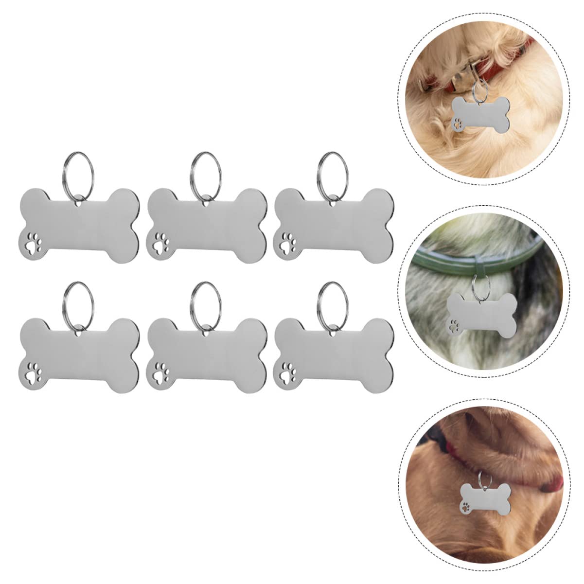 FRCOLOR 30pezzi Targhette Identificative Per Inossidabile Medagliette Per Domestici Accessori Per Per Compleanni e