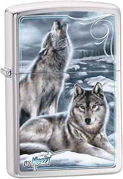 61JOduYBZKL._AC_UF350,