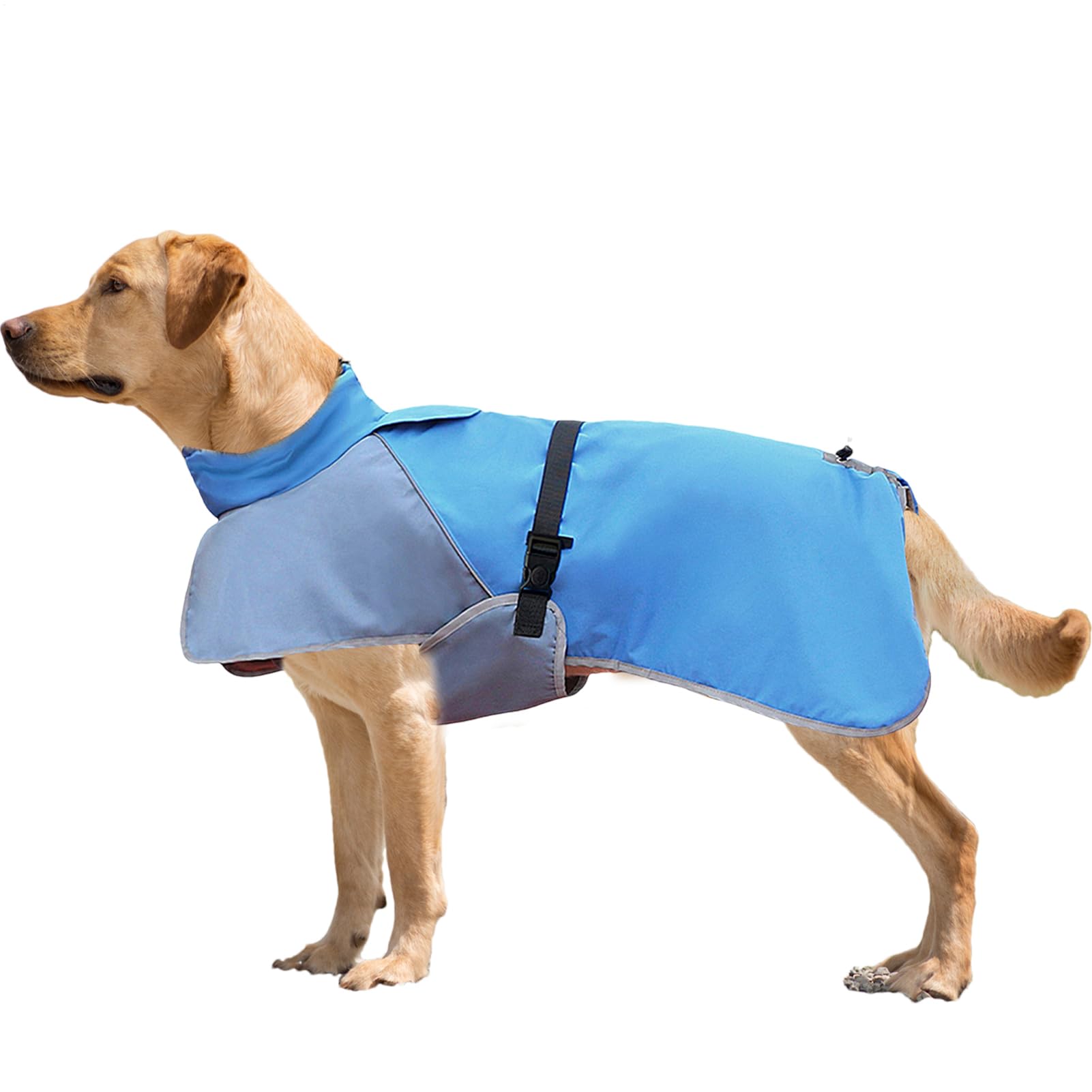 Veste de pluie pour chiens imperméable et réfléchissante pour l'hiver