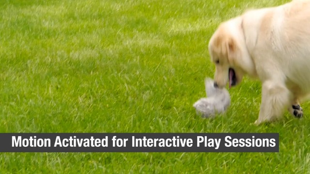 Hyper Pet Doggie Tail Interactive Plush (Wiggles, Vibrates, and Barks – Dog Toys for Boredom and Stimulating Play) - Image 8