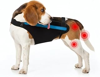 Dog Recovery Anti-Lick Protection Suit – Soft Breathable Surgical Vest & Cone Alternative, Comfortable Post-Surgery Healing Garment for Wound & Skin Protection, Adjustable Washable