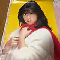 中森明菜　B2サイズ　ポスター　ゼブラ　スーツ　ストライプ　当時品 中森明菜 B2サイズ ポスター ゼブラ スーツ ストライプ 当時品
