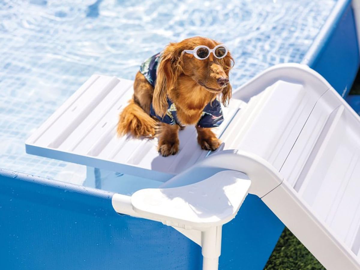 Intex 48404GN Rechteckige Hunde Rahmen Pool, Blau, 229 x 152 x 45,7 cm