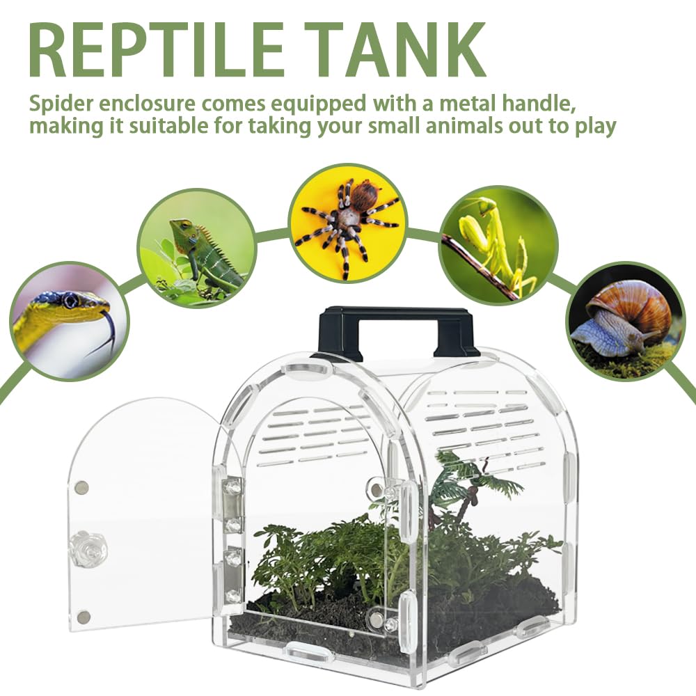 Springspinnen Gehege Aus Acryl | 22,6x13,9x17,5cm Mit Fronttür