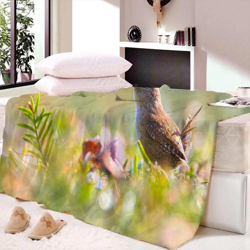 Koc narzuta zwierzęta i ptaki lekki i miękki przytulny dekoracyjny tkany koc na podróż, kanapę, łóżko, sofę 150 x 199 cm