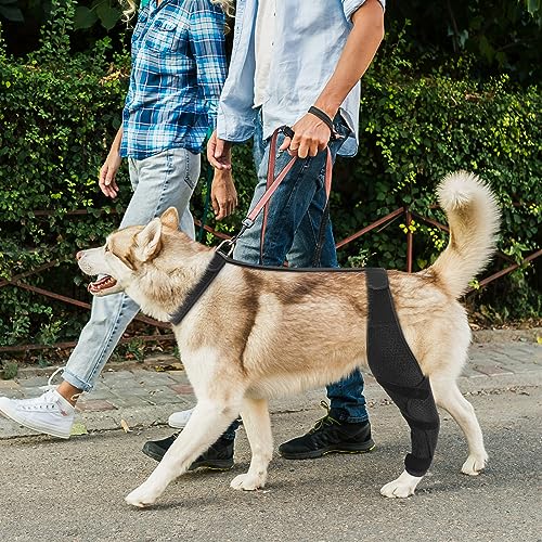 Image of Dog ACL Knee Brace for Pet Recovery, Adjustable Straps, Universal Fit, Supportive and Comfortable, for Small, Medium, Large Dogs (Large, Black Left)