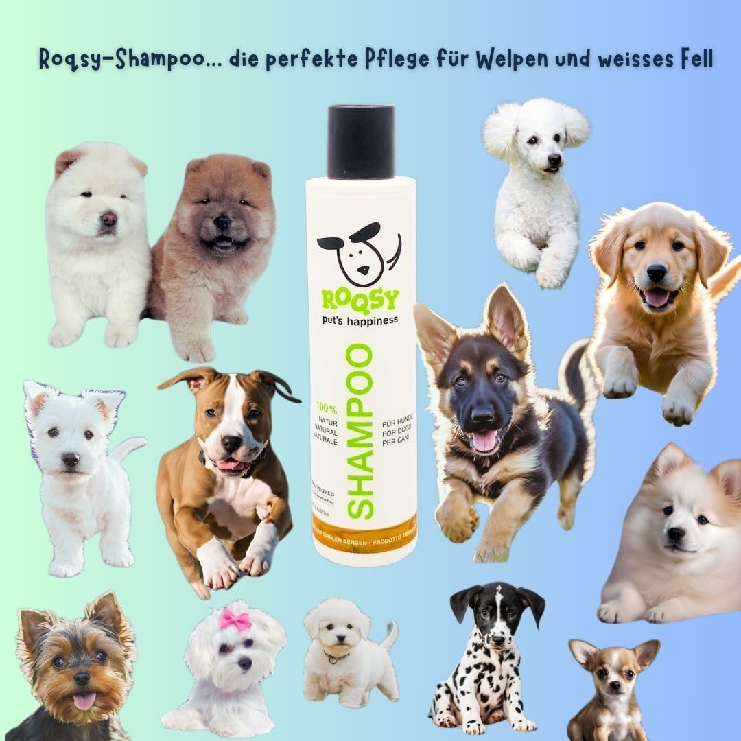 Shampooing Naturel pour Chiens de Toutes Races, Tailles et Couleurs de Fourrure - Contre Les odeurs et Les démangeaisons, Produit Naturel, également pour Les Peaux sensibles ou Les Allergies