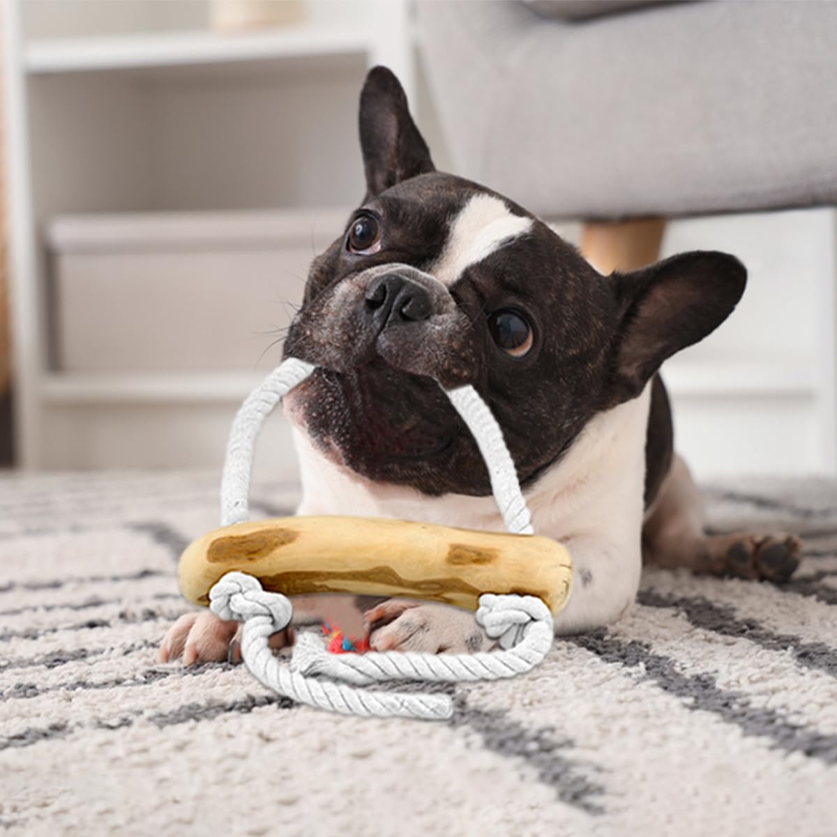 Fuzzl Coffee Stix & Rope Tug Dog Toy - Coffee Wood Chew Throw and Fetch Tough Dog and Puppy Toy, Natural - Image 4