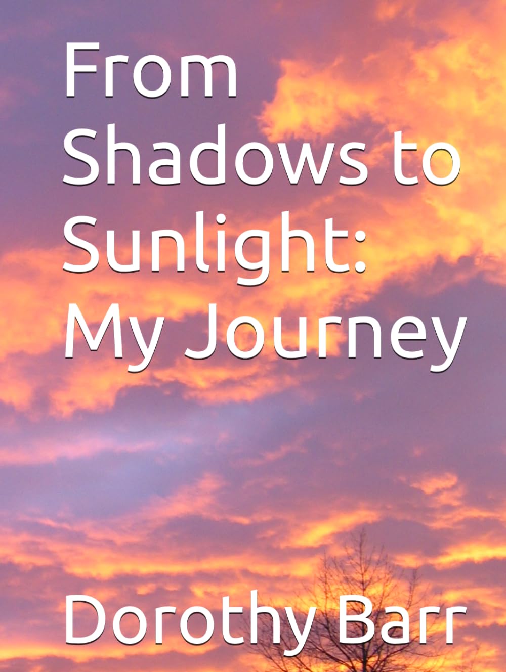 From Shadows to Sunlight: My Journey