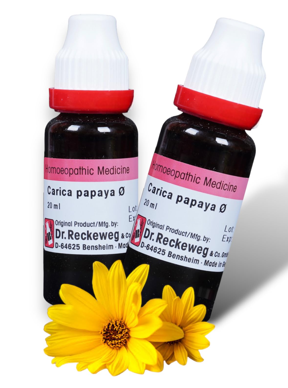 Dr Reckeweg Carica Papaya Mother Tincture Q 20ml - Orignal_Imported (B0CH977KWL) Amazon Price History, Amazon Price Tracker