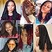 RAYIIS Micro Locs Crochet Hair Super Lightweight 4 Pack Sisterlocks Crochet Hair Synthetic braids Hair Extensions (#30, 18 Inch)