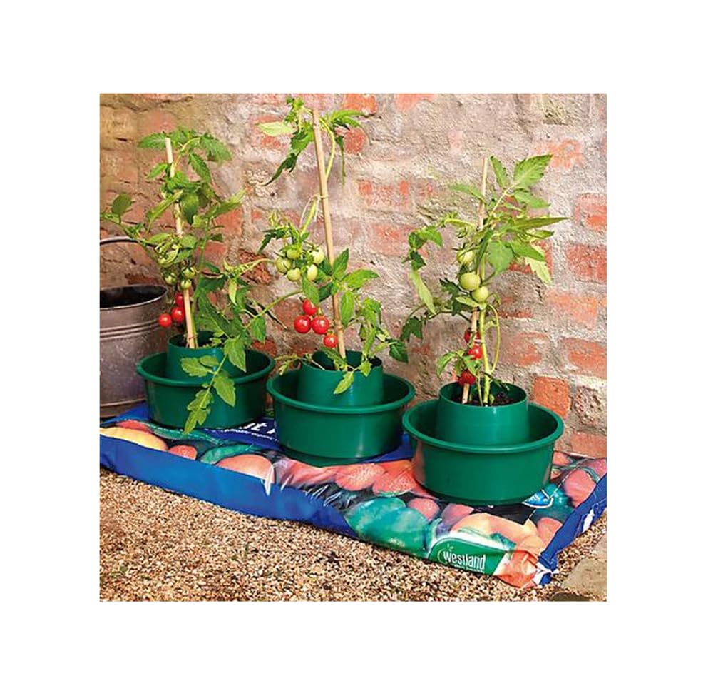 Tomato Growing Pots Self Watering and Feeding use in Growbag or in Soil Complete with Watering Spikes