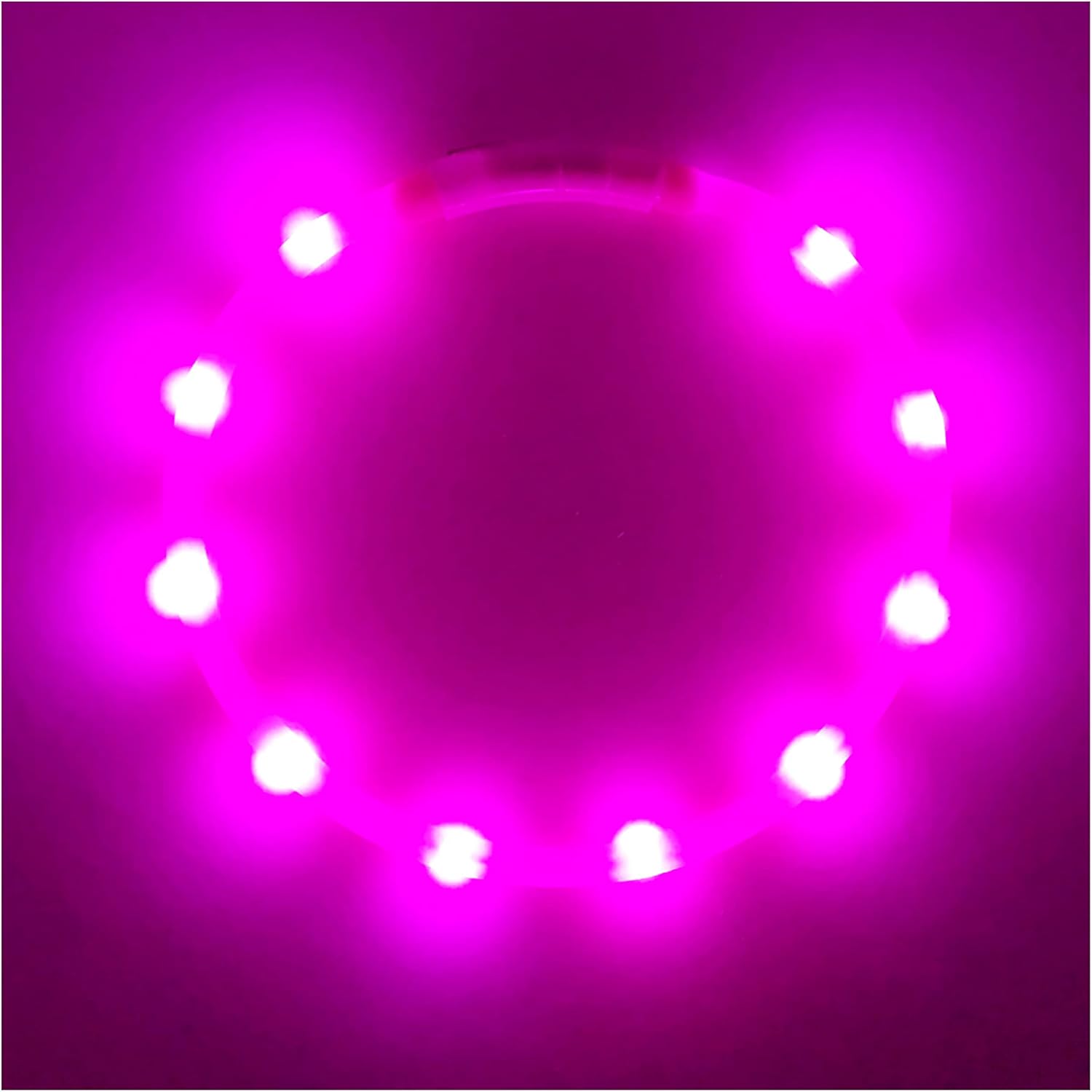 PetSol Light Up Dog Collar Pink Extra Bright LED Collar USB