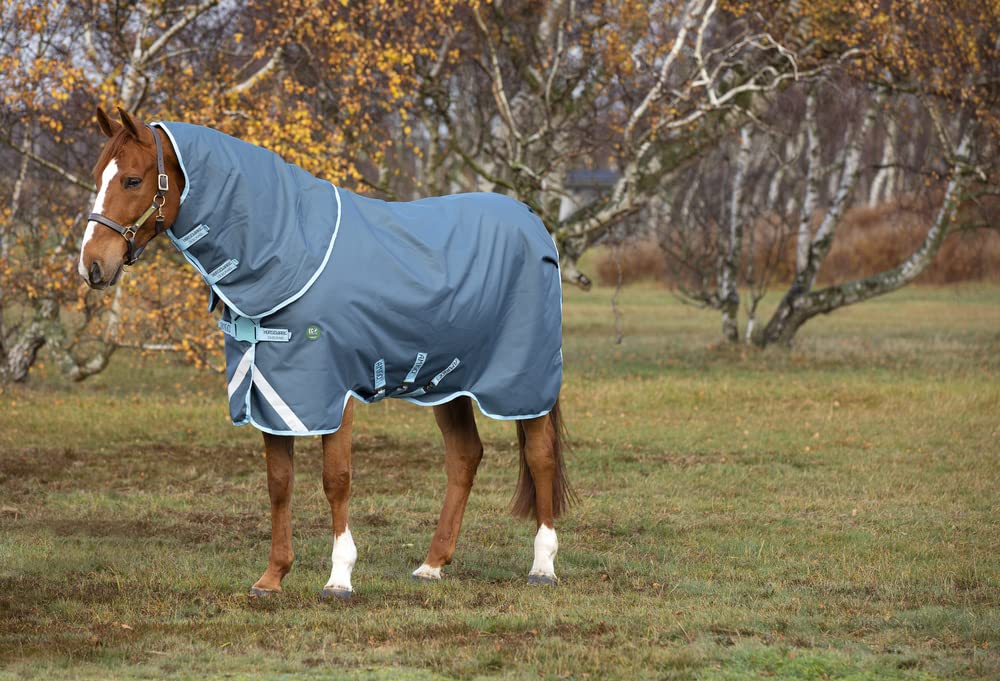 Horseware Ireland Amigo AME 12 Plus Turnout 250g Teal/Darkblue 78