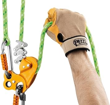 Petzl Zigzag Plus Descender for Arborists D022BA00