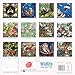 Bex Parkin: Wildlife Wall Calendar 2026 (Art Calendar)