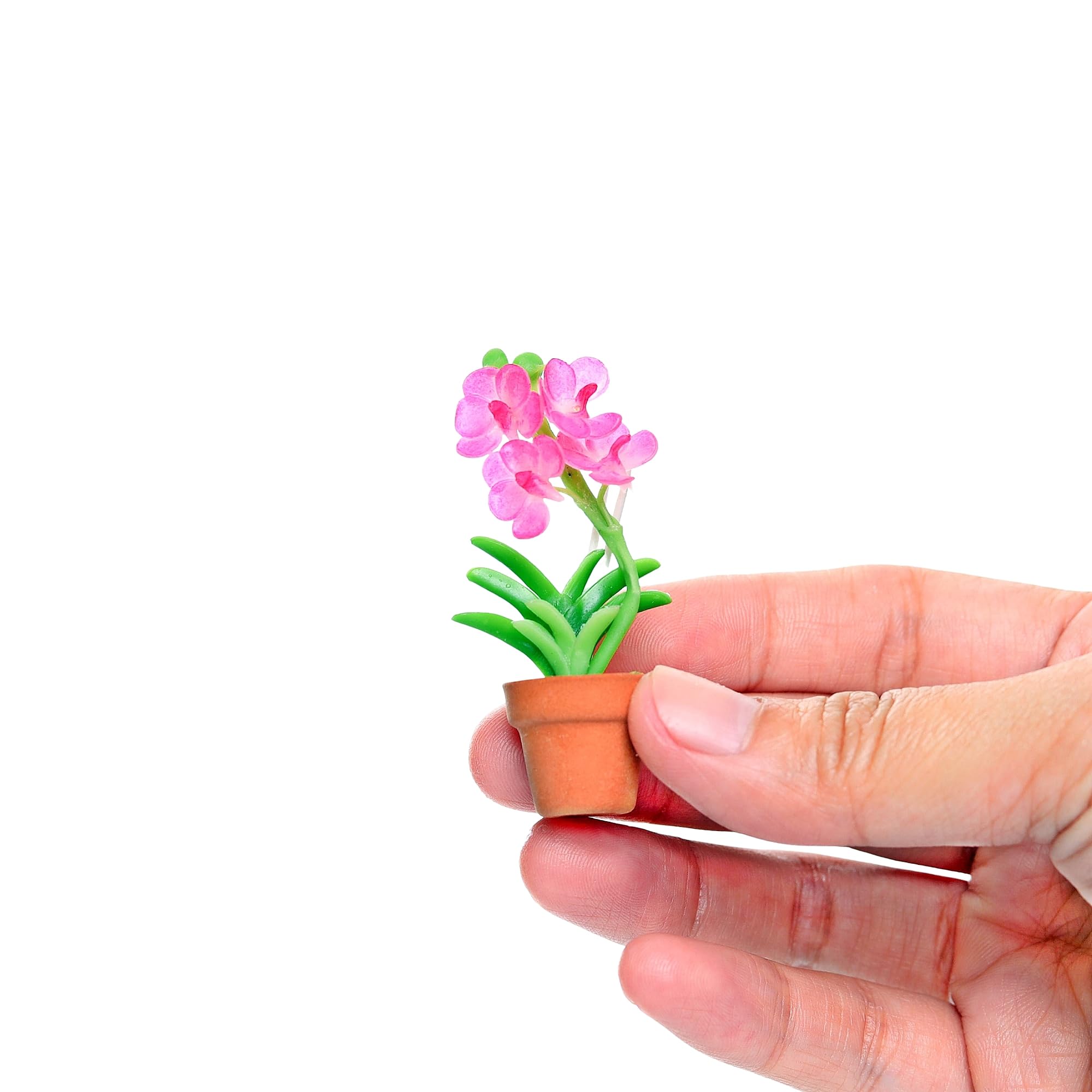 Amazon.com: aBlossom Cute Orchid Refrigerator Magnets for Fridge