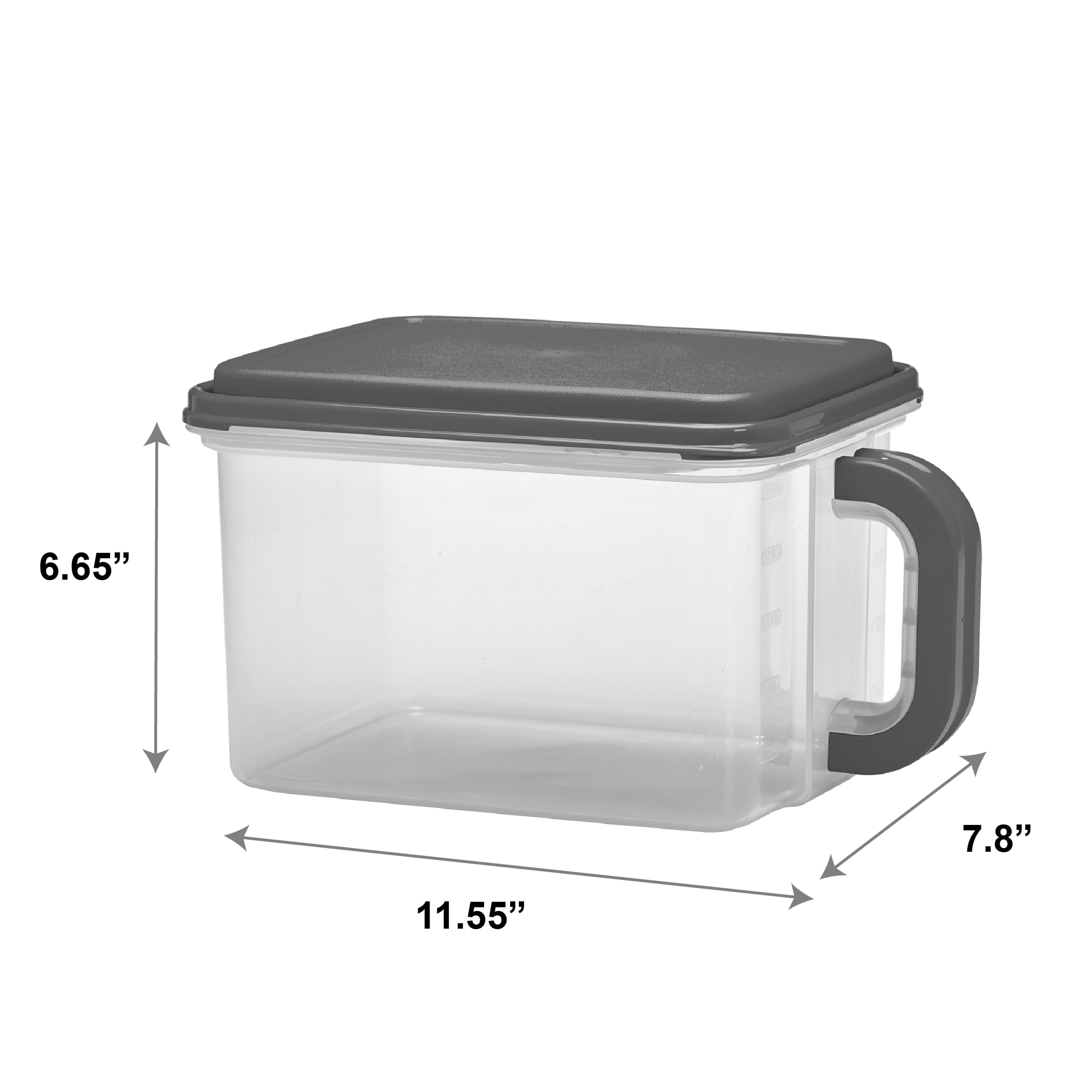 Amazon.com: SEDLAV Medium size Plastic Canister with Handle, 21