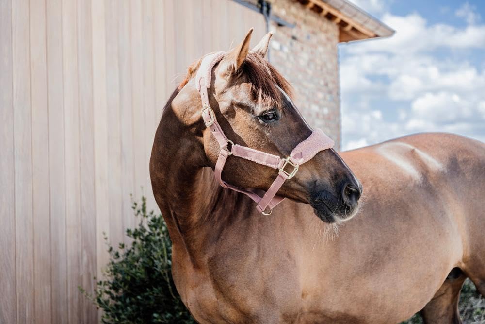 Kentucky - Teddy Fleece Halfter alt rosa Pony