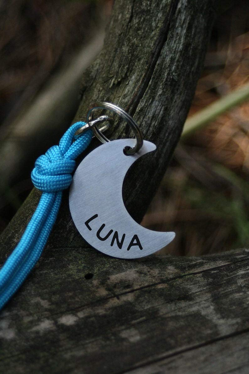 Madhu Gems Engraved Silver Steel ID Tags for Pets | Moon Design | ID Tags for Dogs, Cats and Other Pets | Personalized Pet Tags (Customized) (B08T86VW4L) Amazon Price History, Amazon Price Tracker