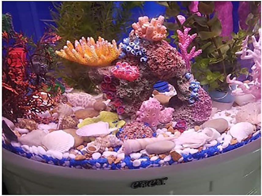 YISZM 20ポンド 小石 屋内植物用 2-3インチ ミックスカラー 高光沢