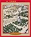 The Hopi (True Books: American Indians) (A True Book: American Indians)