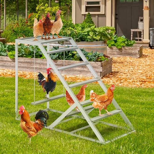 Galinheiro, poleiros de galinha com balanço, barras de galinha, brinquedos para atividades de frango