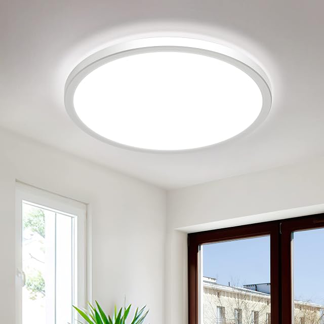 LED Ceiling Light, BLNAN 24W Led Panel 5000K Daylight with backlight, Flush Ceiling Lamp for Living Room, Bedroom, Kitchen, Hallway, Dining room, Office, Indoor Low Ceiling round modern slim - 12 Inch
