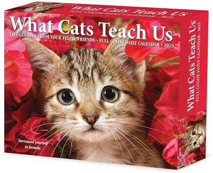 Willow Creek Press, What Cats Teach Us 2025 Desk Calendar