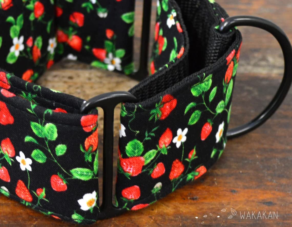 Collare per cani martingale: Strawberry Field, fatto a mano in Spagna da Wakakán